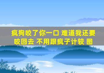 疯狗咬了你一口 难道我还要咬回去 不用跟疯子计较 图